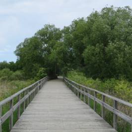 Georgian Trail