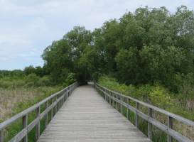 Georgian Trail