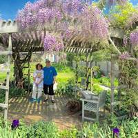 Suzanne's Garden
