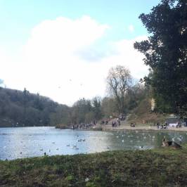 Swanbourne Lake