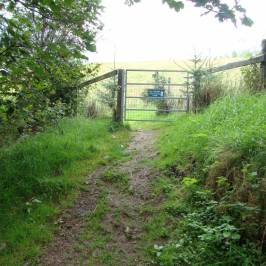 Meall Fuar-Mhonaidh