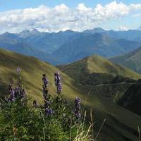 Parco Valle Albano
