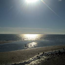 White Rock Promenade