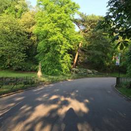 Corporation Park