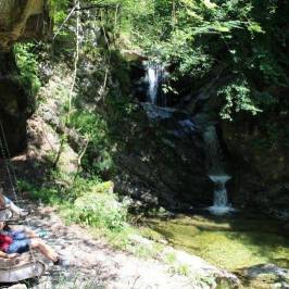 Dittelbachwildnis