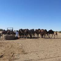 Sahara Espace