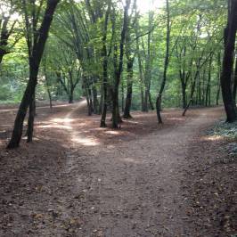 Erzsebet Park