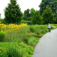 Hofwiesenpark