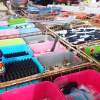 Milnerton Flea Market