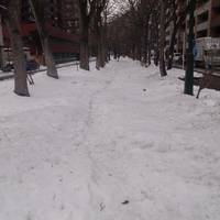 Mini Odori Park