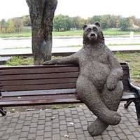 Медведь на скамейке