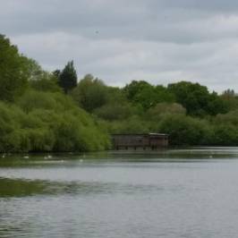 Chard Reservoir