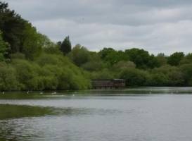 Chard Reservoir