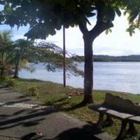 Baia da Sapetinga