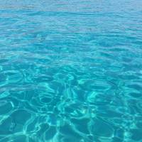 Scuba Libre Diving