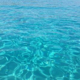 Scuba Libre Diving
