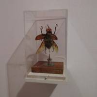Da2 Domus Artium 2002