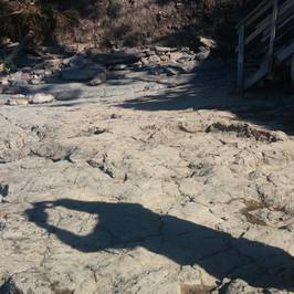 Yacimiento de Icnitas de la playa de la Griega