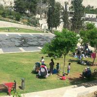 Teddy Park: The Mitchell Parks & Gardens