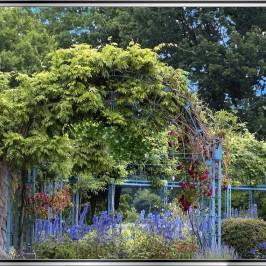 Spreeauenpark Cottbus