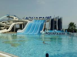 Aquafarm