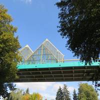 Пушкинский мост