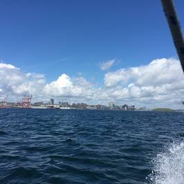 Harbour Water Taxi
