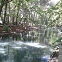 Parque de la Bombilla