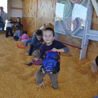 Ramseyer Farms
