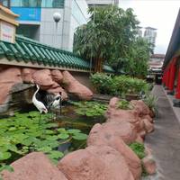 Kun Yam Thong Temple