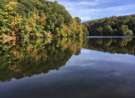 Cheat Lake Trail