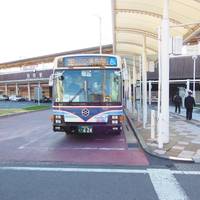 Kamenoi Bus