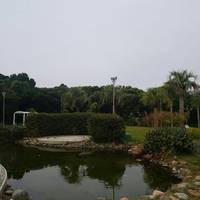 Bosque Amoraeville