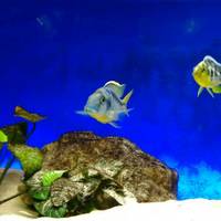 Acquario del Salento