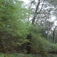 Warren National Park