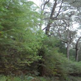 Warren National Park