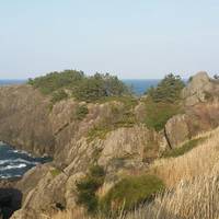 Tamurazaki