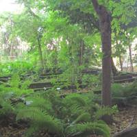 Orto Botanico Pierina Scaramella