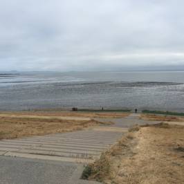 Seal Point Park
