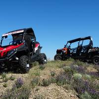 Buggy du Golfe de Saint Tropez