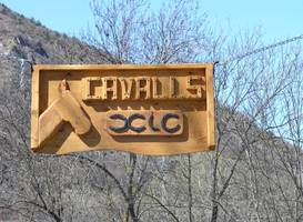 Cavalls Xic