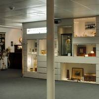 D'Arcy Thompson Zoology Museum
