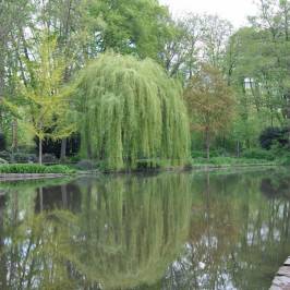 Park Schöntal