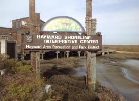 Hayward Shoreline Interpretive Center