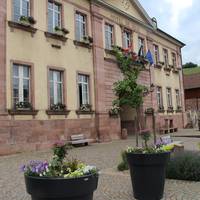 Eglise Notre Dame de Riquewihr
