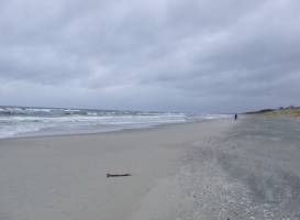 Krynica Morska Beach