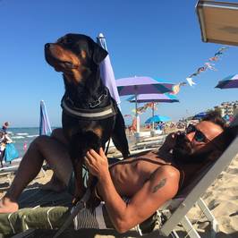 Islamorada - Dog Beach