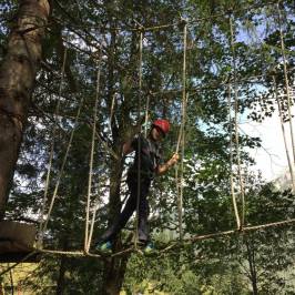 Kletterwald Bichlbach