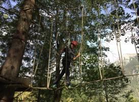 Kletterwald Bichlbach
