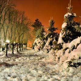 Copou Park